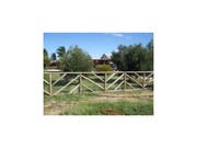 Swap 3 bedroom home on 2 acres in Riverland SA for House in Mildura 