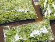 o g kush, bubba kush  and others for sale