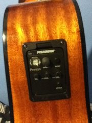 12 string acoustic electric guitar