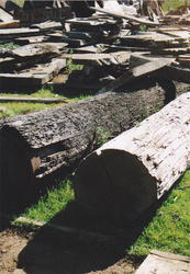 Massive wood sale,  timber slabs,  Thurs 15 Sep - Mon 19 Sep