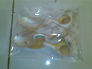 Art handycrafts of Indah creation(Bali)Sea shell small spiral spoon