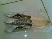 Art handycrafts of Indah creation(Bali)Sea shell knife