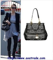 Free shipping, wholesale Chanel bags, Fendi bags, Hermes Handbag, Coach wa