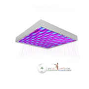 Cheap Price 14W LED Grow Lamp for Home Garden Plants Lighting