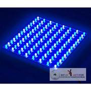 Reef Aquarium LED Light 45W For Reef Tank Lighting