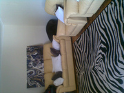 LOUNGE & DINING FURNITURE FOR SALE..BUY 2 & GET 1 FREE!!