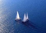 Great Barrier Reef Day Tours