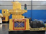 HOT sale pellet mill in C HINA