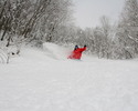 Hakuba Specials Deals and packages 2012- 2013