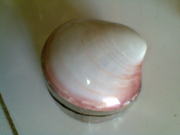 Art handycrafts of Indah creation(Bali)Sea shell box accessories