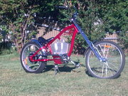 Electric Chopper 48volt 200watt