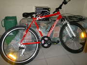 mens 22 speed mountain bike, 