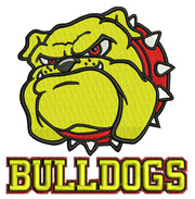 Embroidery Digitizing