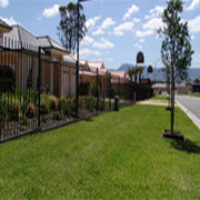 Palmetto, Turf Top Dressing, Turf Brisbane