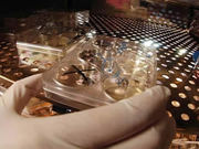 Perforated Stainless Steel Sheet