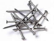 Galvanized Common Nails