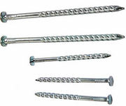 Galvanized Screw Nails