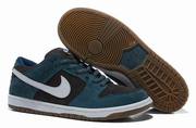 Nike Dunk  shoes men 