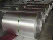 Galvanized Steel Coil