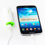 NewNow Bamboo 2600mAh External Battery Charger