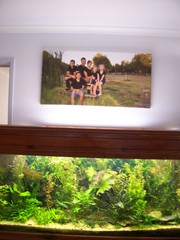 AQUARIUM 5 X 2 X 2 COMPLETE WITH LED LIGHT HOOD,  FILTER,  HEATER ETC.