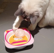 Perfect Ice Ball Moulds