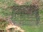 Collapsable animal crate