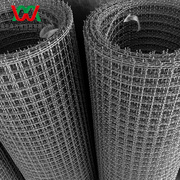 High Wear Resistance pre-crimped screens mesh