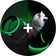 Lighted and Reflective Dog Collars - Squeaker Dogs