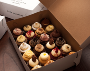 Buy Cupcakes Boxes Online In Melbourne