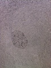 Give your outdoors a complete overhaul with our range of bluestones