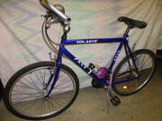 Men's Bicycle  -  Volante - Pace 