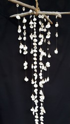 Wind chime - Shell Whisperer