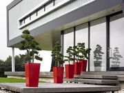 Best Indoor Plants Hire Services in Melbourne