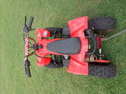 garage sale 41 grevillea st