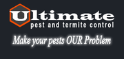 Pest Control Wollongong