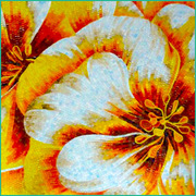 NEW TO AUSTRALIA! Smashart Creative Mosaics