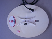 Minelab detector coil