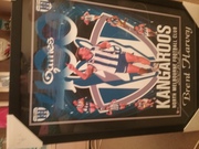 Afl /kangaroos frame