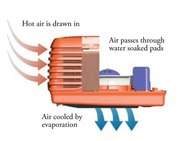 Evaporative System Osborne Park
