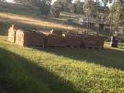 New face bricks(never been used) 2500/3000 red in color