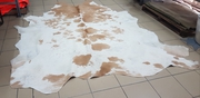 Authentic hair on cow hide rugs