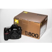 Nikon D800 36.3 MP Digital SLR Camera (Body On