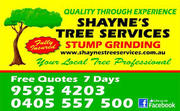 Shayne's Tree Services