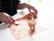 Get Quality Wholesale Paper in Melbourne