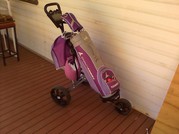 11 Golf Clubs & Bag and Buggy
