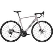 2026 Canyon Endurace CF 7 Road Bike (BIKOTIQUE)